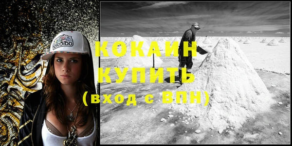 молекула духа Строитель