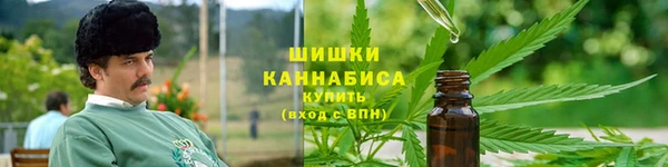 apvp Арсеньев
