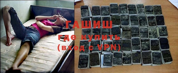 прущие грибы Алзамай