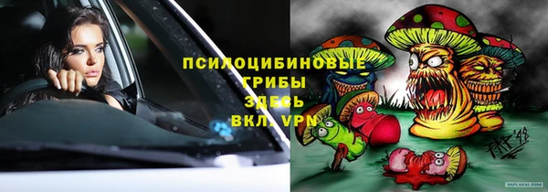 apvp Аркадак